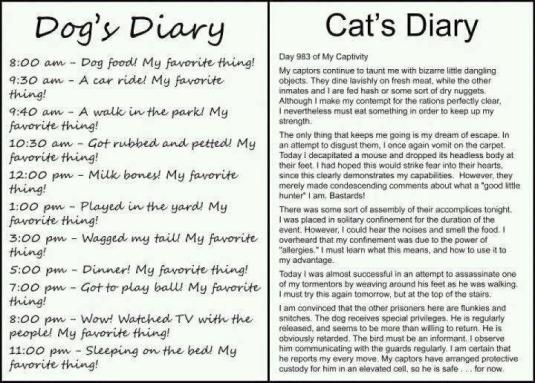 Dear Diary
