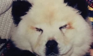 ca29cf71-7e4e-4169-b762-f8a848b27466-bestSizeAvailable