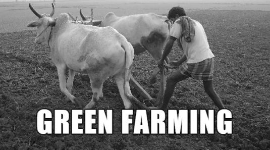 wp-1415603751800 image