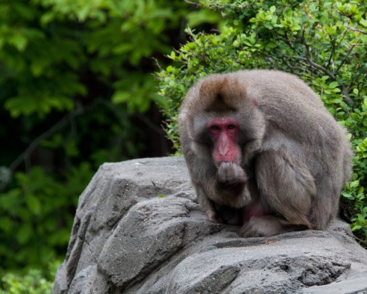 Think hard. Go deep.