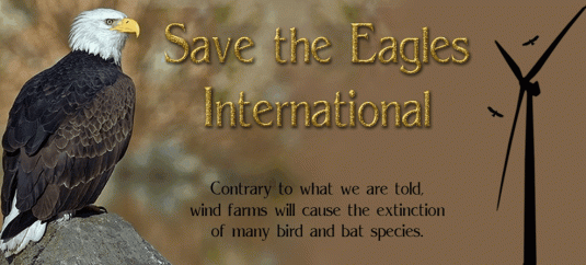 ScreenHunter_7928 Mar. 14 22.39