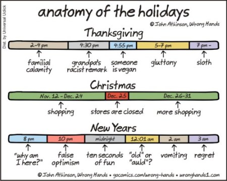 anatomy of the holidays