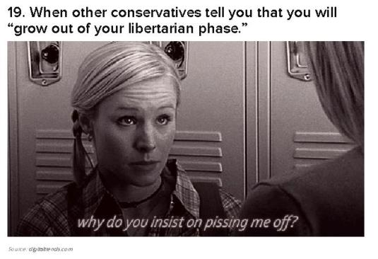 Libertarian Problem 19