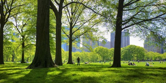 climate-pledge-park-area