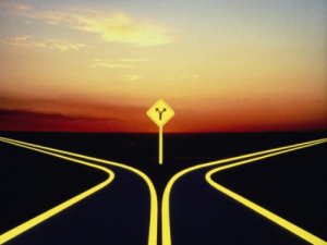 Fork in the road