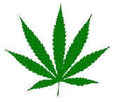 Marijuana Leaf