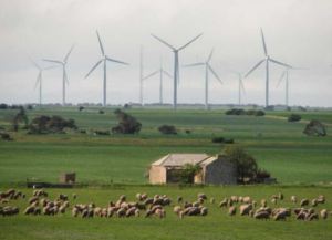 Wind farm in South Australia [image credit: reneweconomy.com.au]