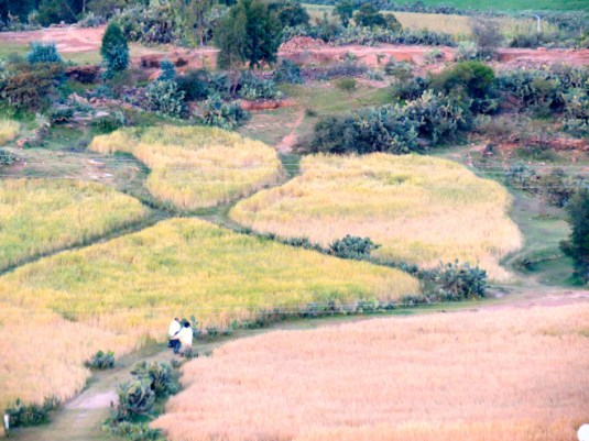 Tigray, Ethiopia. Photo by me.