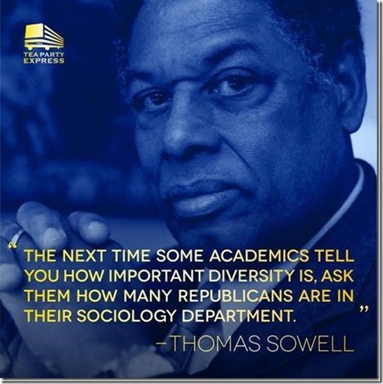 sowell diversity