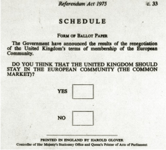 referendum-picture