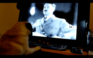 screen-shot-2016-05-09-at-7-43-09-pm