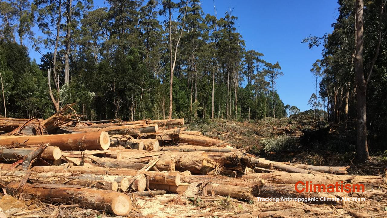 Old-growth trees cut down for windfarm transmission corridor - CLIMATISM.png