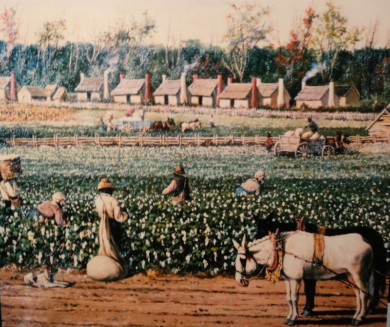 WrightCotton