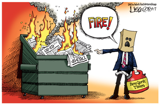 Lisa Benson cartoon
